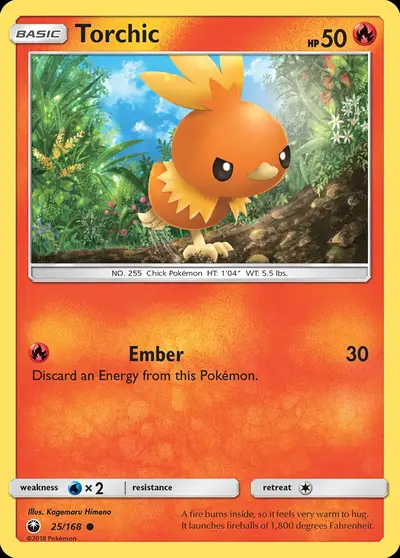 Torchic