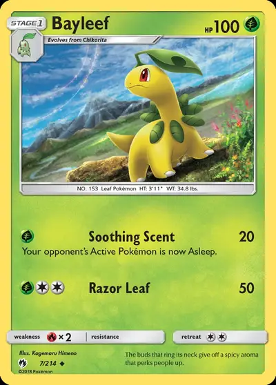 Bayleef